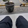 nutrisari_y