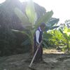 yanaung806
