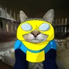 kokos_027