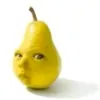 yerrorist1