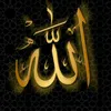 islam_my_life01