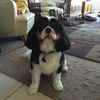 jennifer.adair4