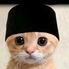 gataudangamautauuuuu