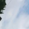 tifani.wwwtiktok.com