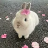 headphonesonme