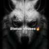 status-frases🔥