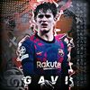 gavi_dls
