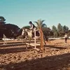 showjumping_ana