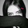 nxzzz_sq10