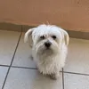 gkoooo.3