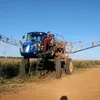igorfranca2002fra