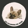 .los_cachoros_del_tiktok