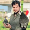 kotrakane_janaral_qasab