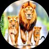 ziddiwarraich789