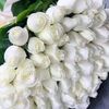 _hujaifa_6162