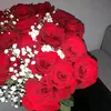 sousoumarocaine2