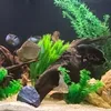 aquatics21