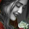 user38849044224
