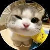 piya098200