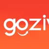 goziview.com