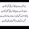 mushtaqalii583