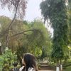 noviyantitessa1
