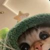 sindy.2rr