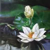 thailam184
