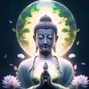 🪷Tâm Phật🪷