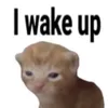 toiyeutoanlihoa