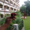 mistyakhtar019