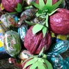 bysel_olga1982