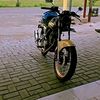 wngliongertiopo1