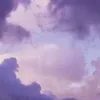 p1nkrosies_