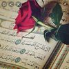 user9244166521334