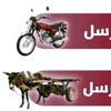 rbfrbf979gmail.com