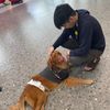 jackchen2937