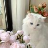 asmaa_n6