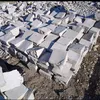 dlshadomer830