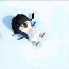 zovalia_starlight