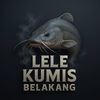 lele kumis belakang🐬