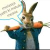 user6661854453416