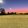 orlie0_