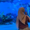 ayar_a