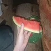 ttyr_26