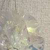 sbodky