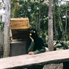 keranjangsonya