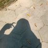 _alsya.a