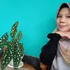 sitiairodiah230