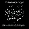 hassinhassin7395